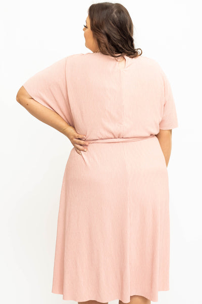 Back view of a short sleeve plus size pink dress