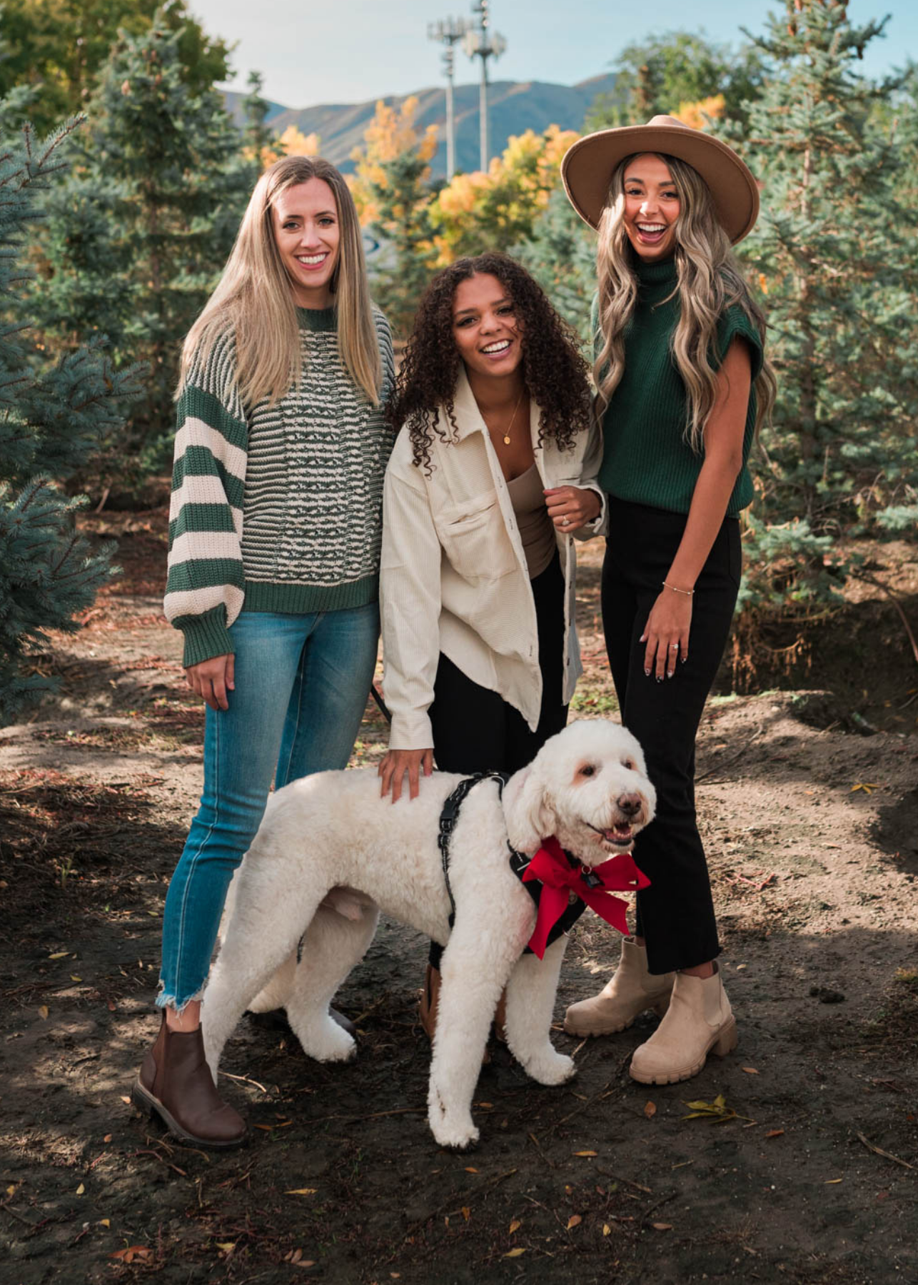 Ronni Hunter Green Sweater