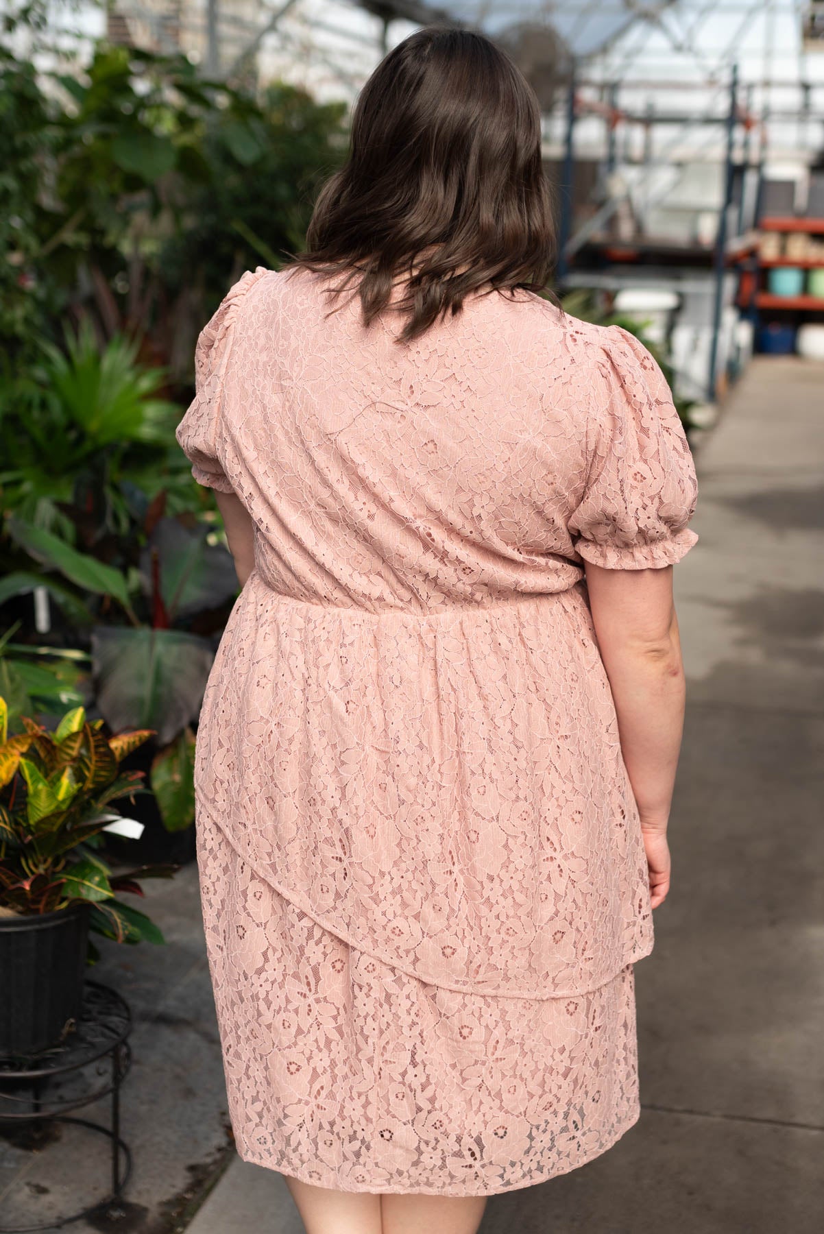Back view of the plus size dusty pink lace tiered dress