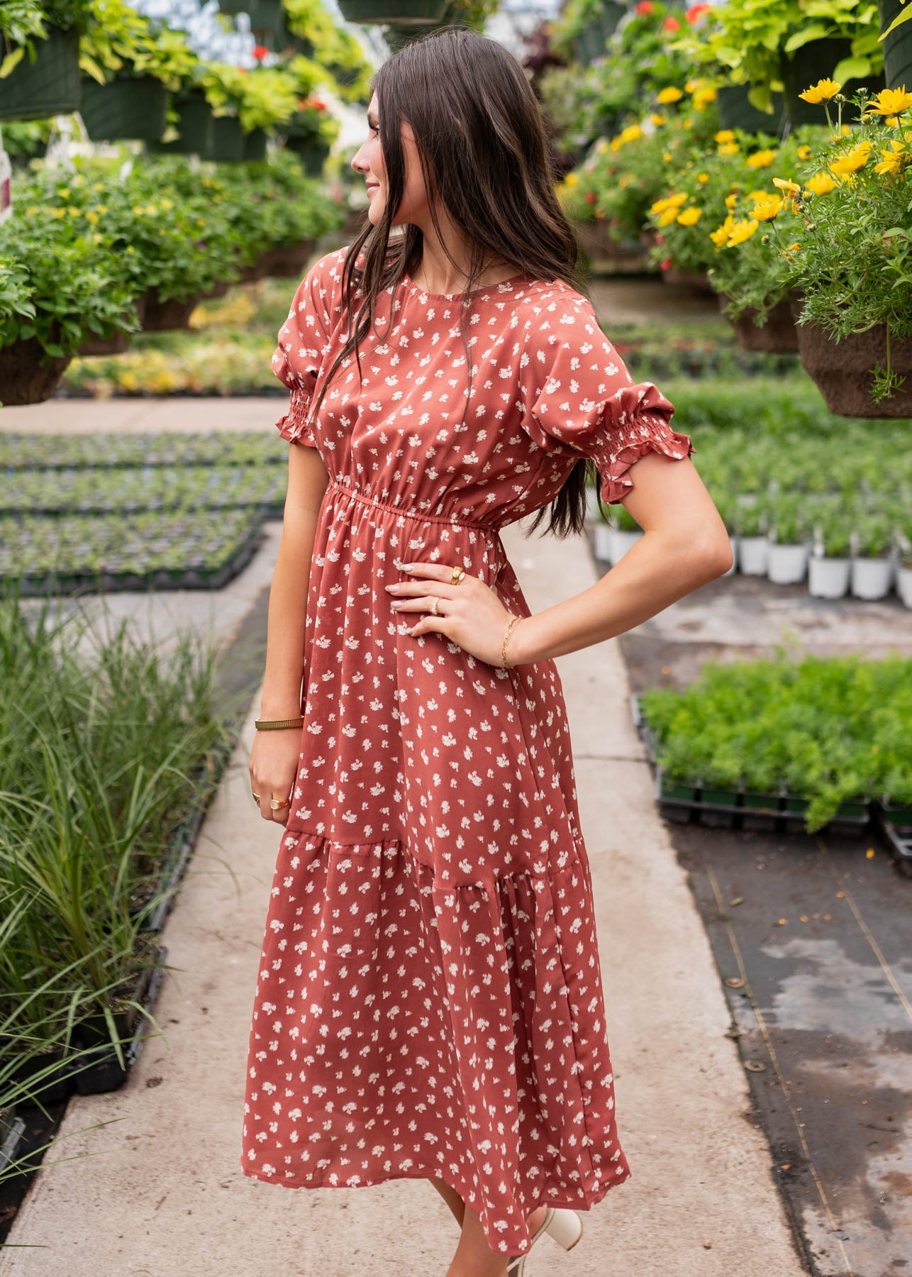 Ashlyn Brick Floral Dress