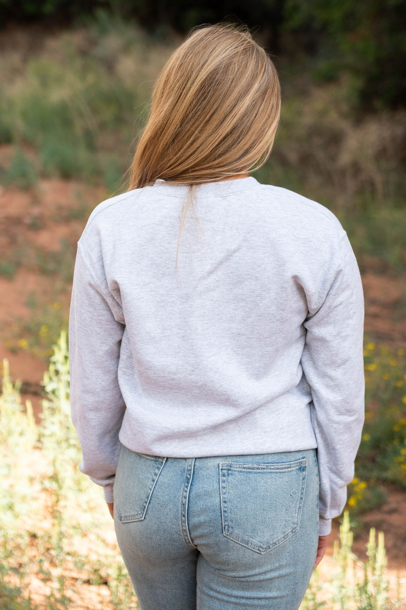 Back view of a grey sweatshirt