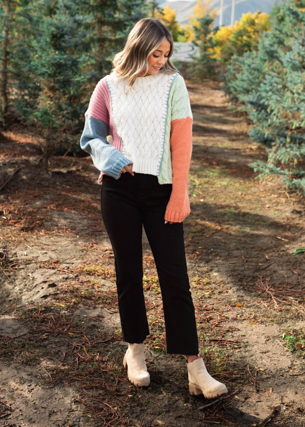 Knit multi sweater