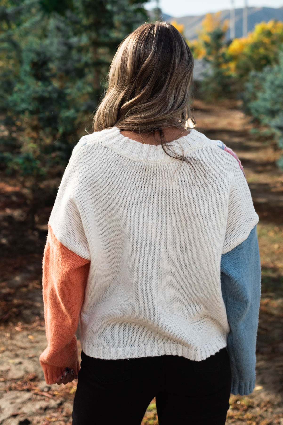 Back view of the knit multi sweater