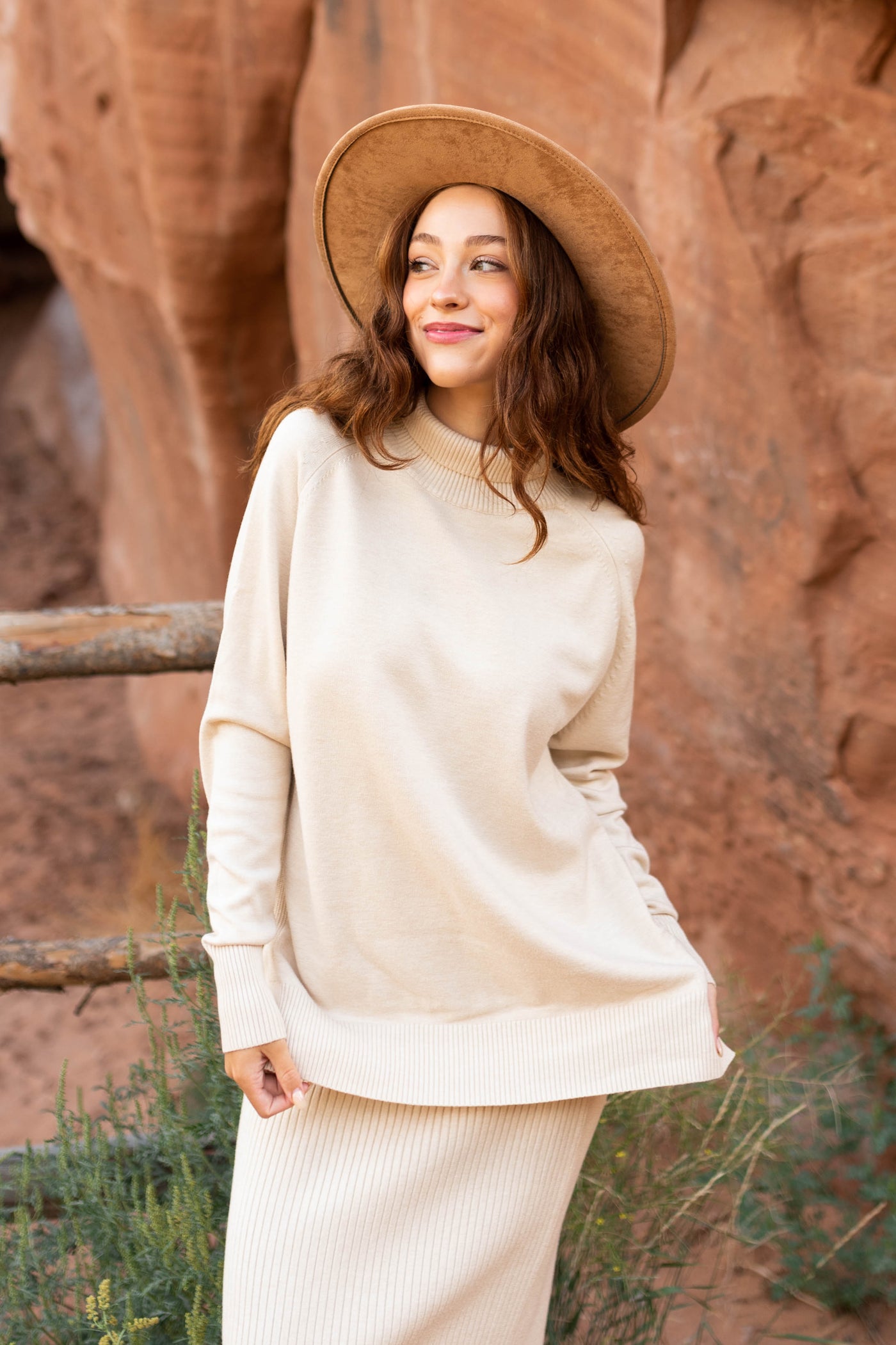 Long sleeve oatmeal sweater with a turtle neck