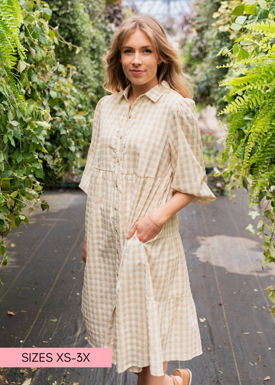 Taupe gingham button down dress