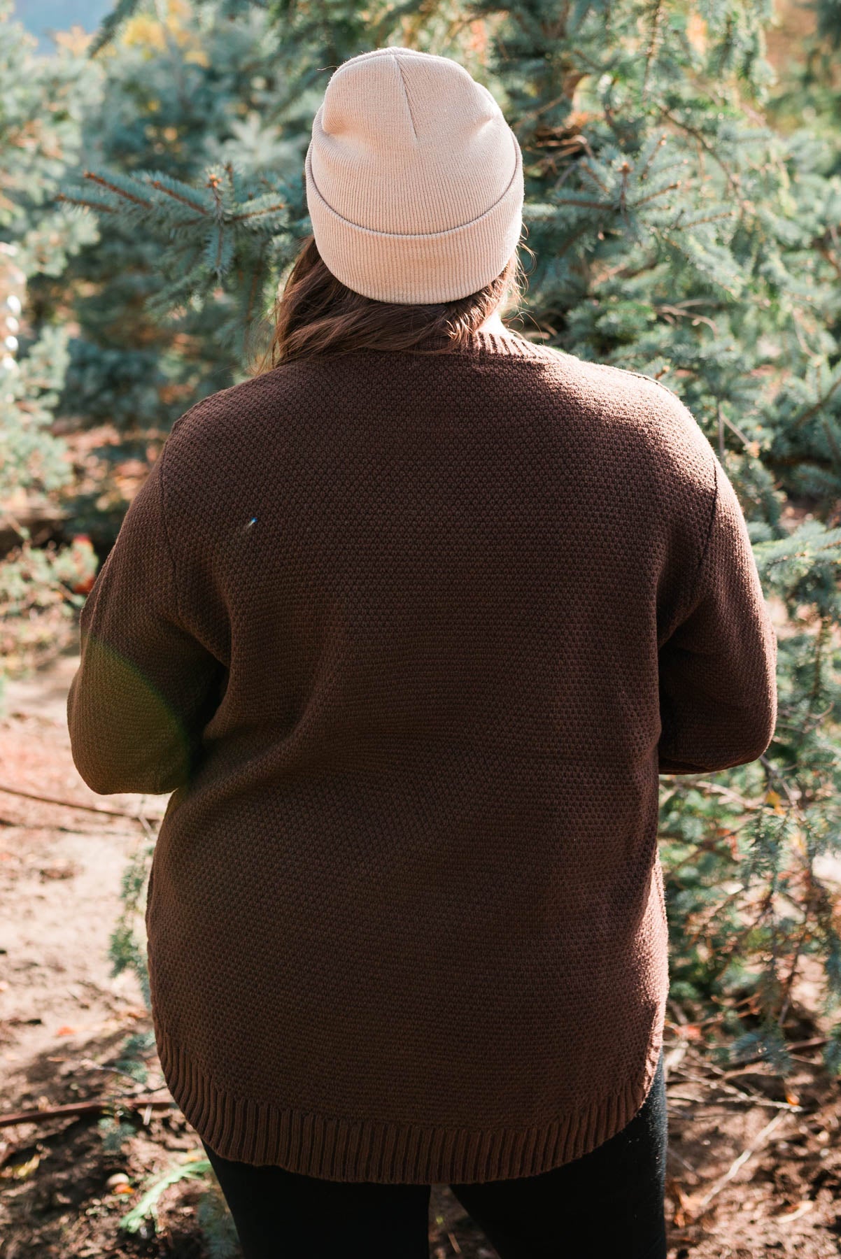 Back view of a plus size coffee sweater