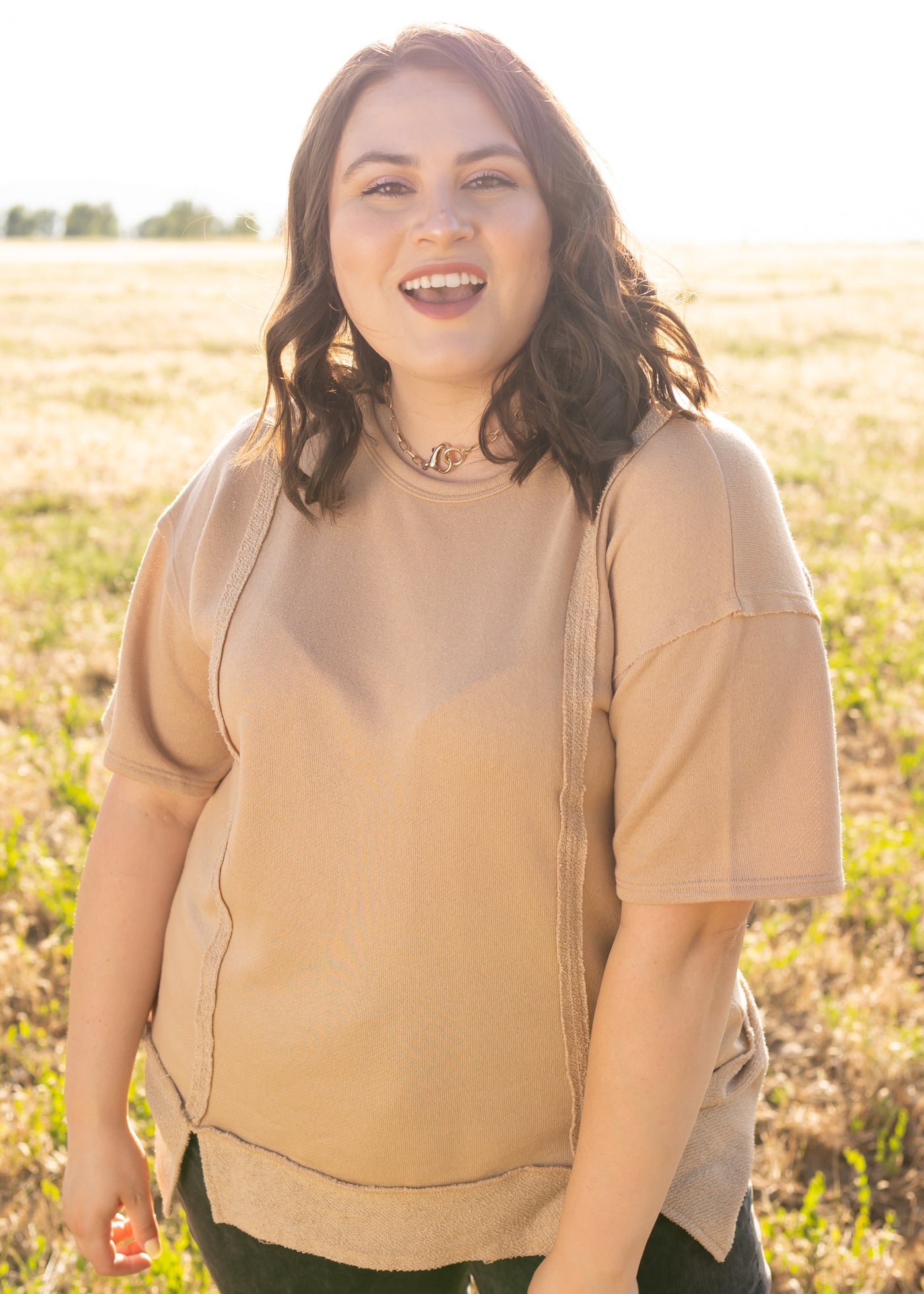 Plus size short sleeve taupe top