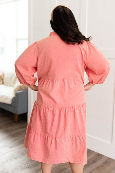 Back view of the plus size pink button down dress