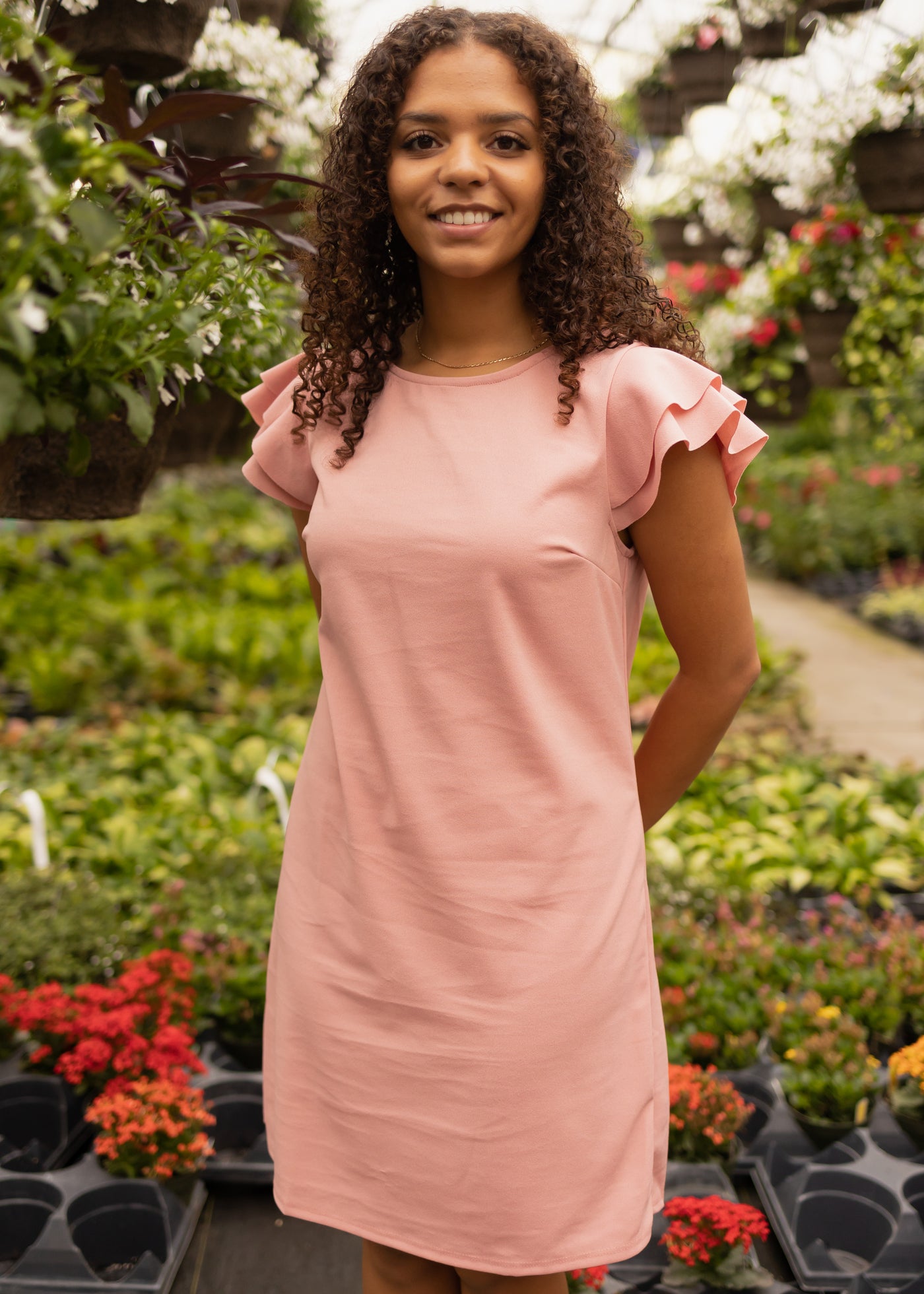 Front view of a dusty pink dress with short ruffle sleeves