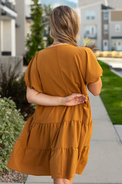 Back view of a deep spice dress