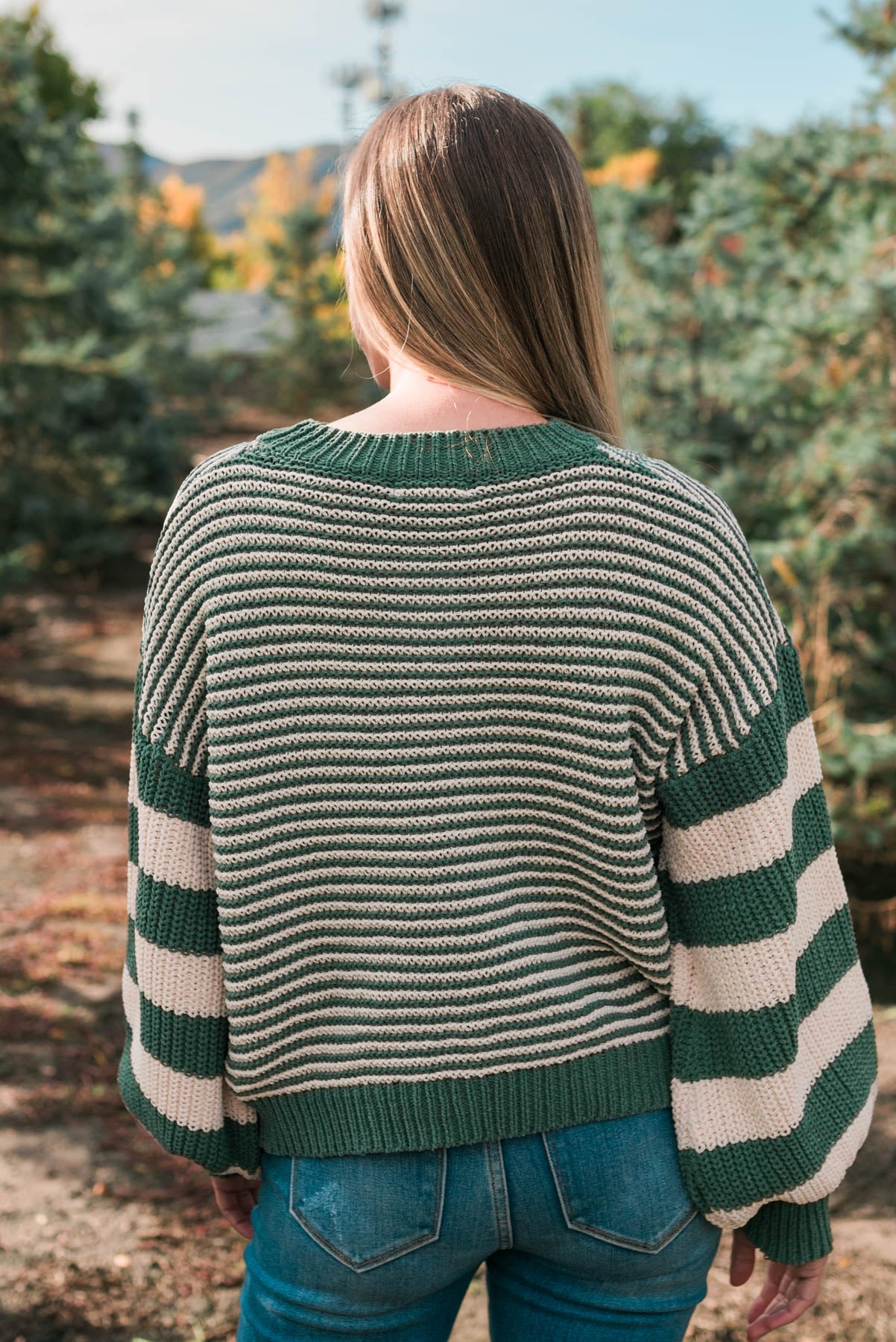 Back view of the green stripe knit sweater