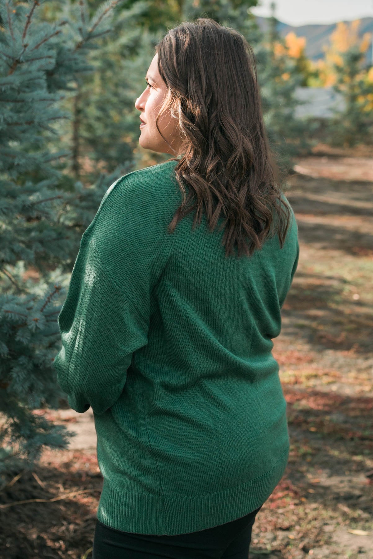 Plus size back view of the merry green crewneck sweater