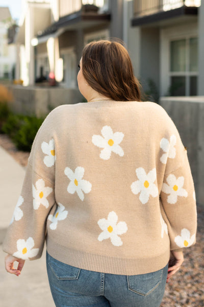 Back view of a plus size beige sweater