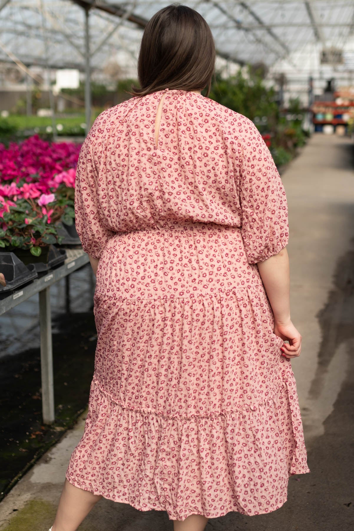 Back view of the plus size blush tiered dress