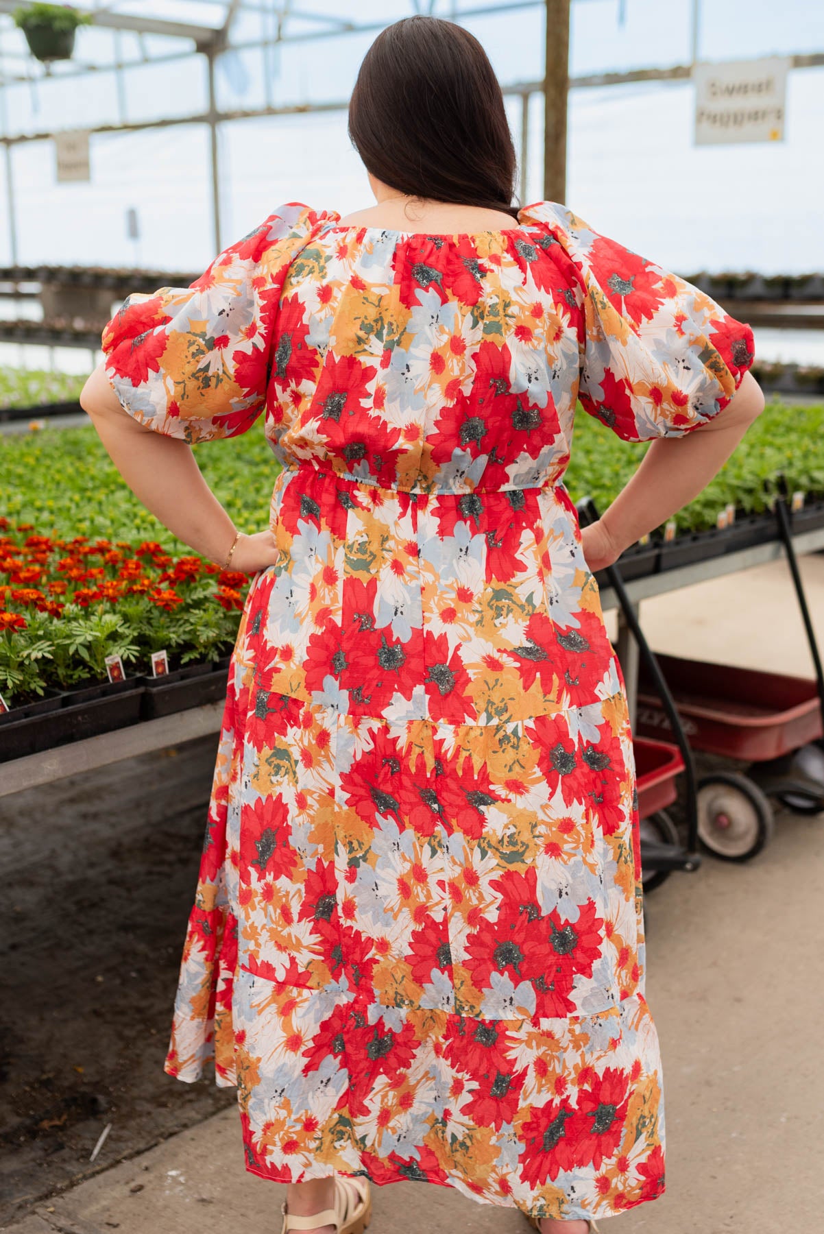Back view of the plus size red floral dress