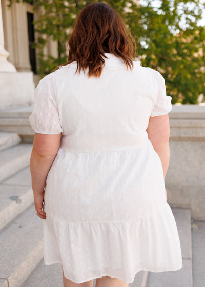 Back view of the plus size ivory min dress