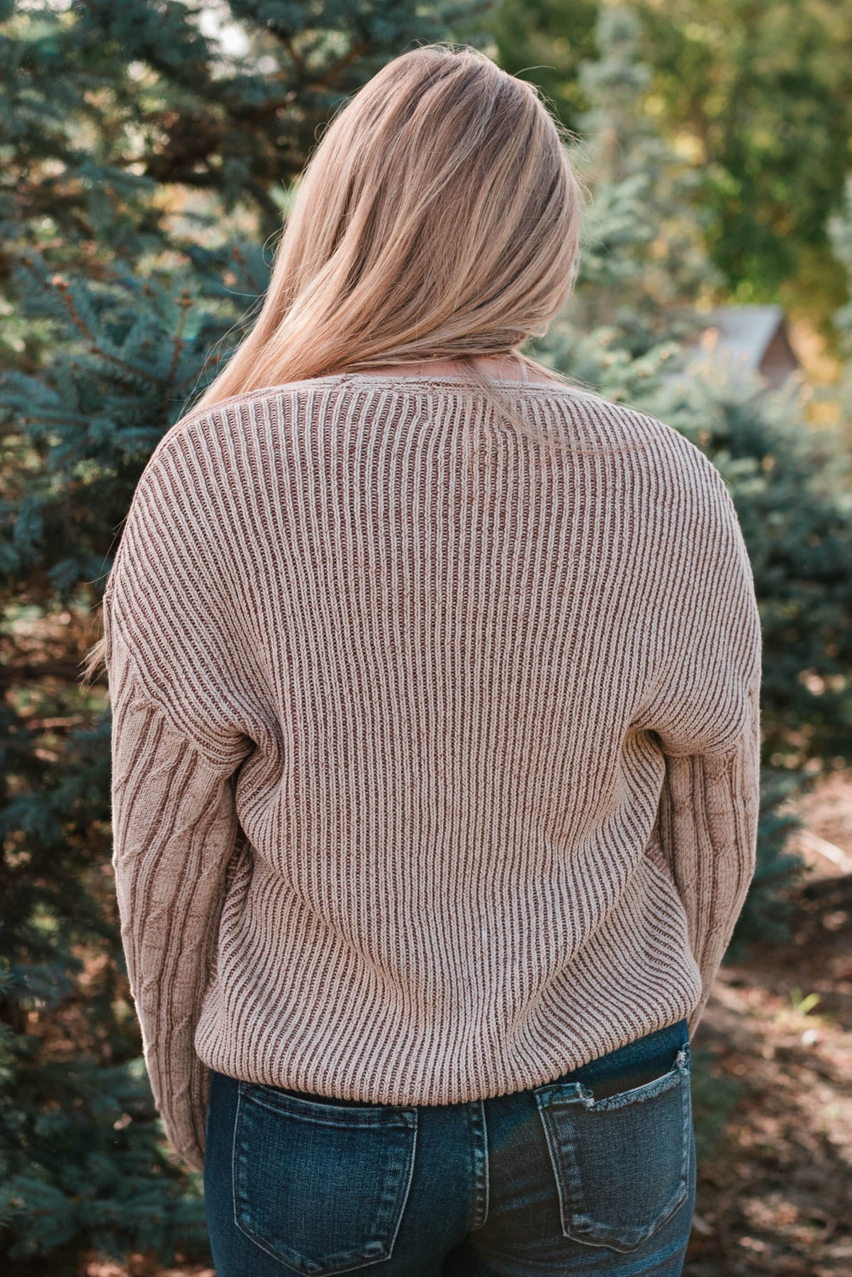 Back view of the taupe sweater