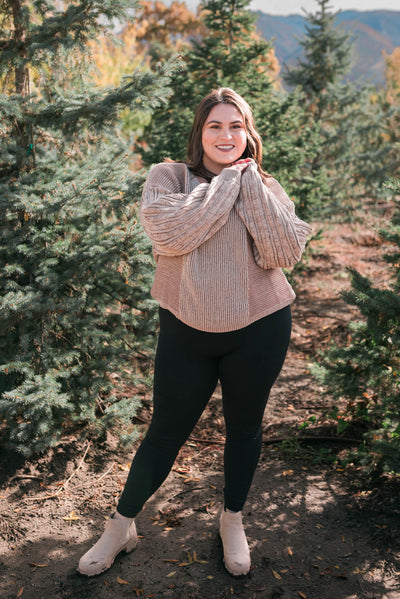 Long sleeve plus size taupe sweater