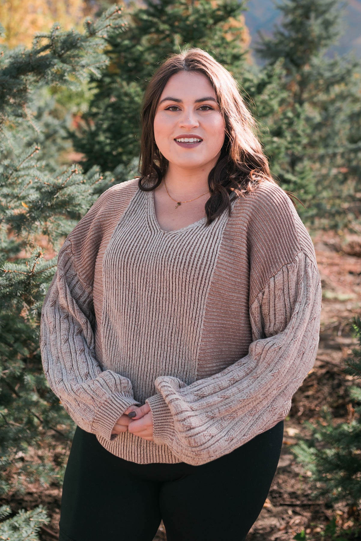 Plus size taupe sweater