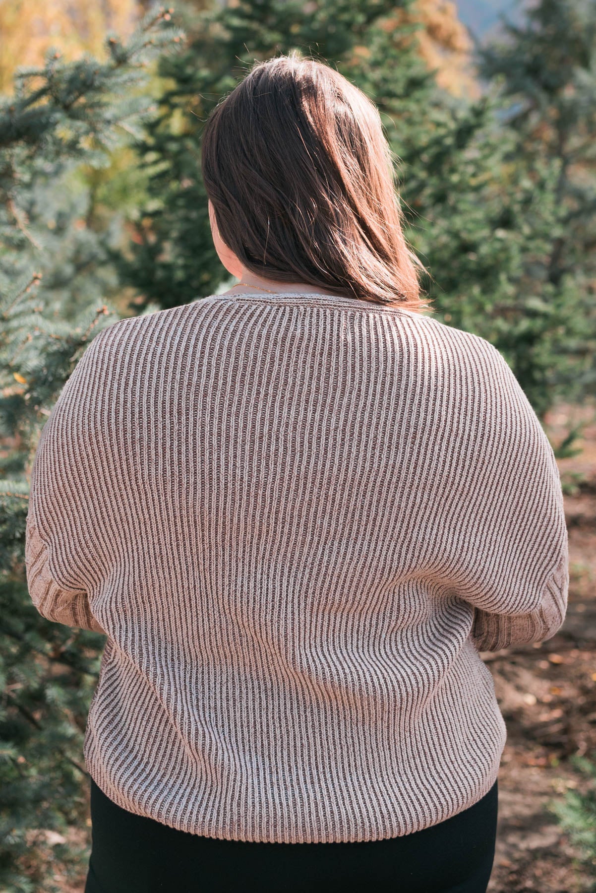 Back view of the plus size taupe sweater