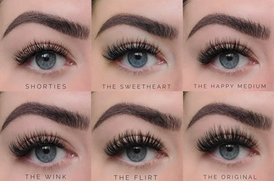 The Collection 6 Pair Eyelash Set